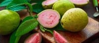 Eating Guava On An Empty Belly In Morning Is Useful Or Dangerous,